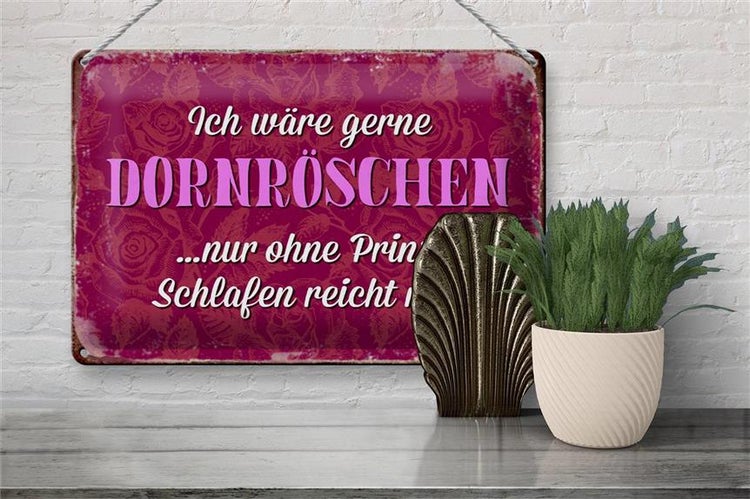 Blechschild Spruch 30x20cm ich gerne Dornröschen ohne Prinz