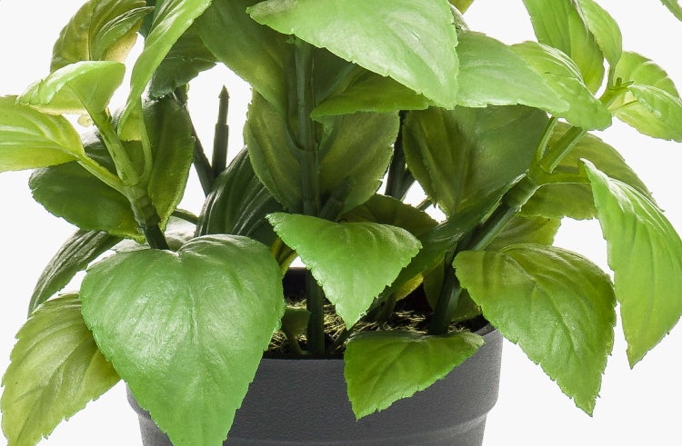 Nahaufnahme eines schwarzen Kunststoff-Blumentopfs mit grünen künstlichen Blättern.