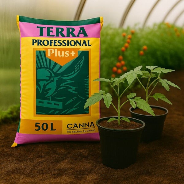 Ein 50 Liter Sack Canna Terra Professional Plus Erde neben zwei Jungpflanzen in Töpfen in einem hellen Gewächshaus.