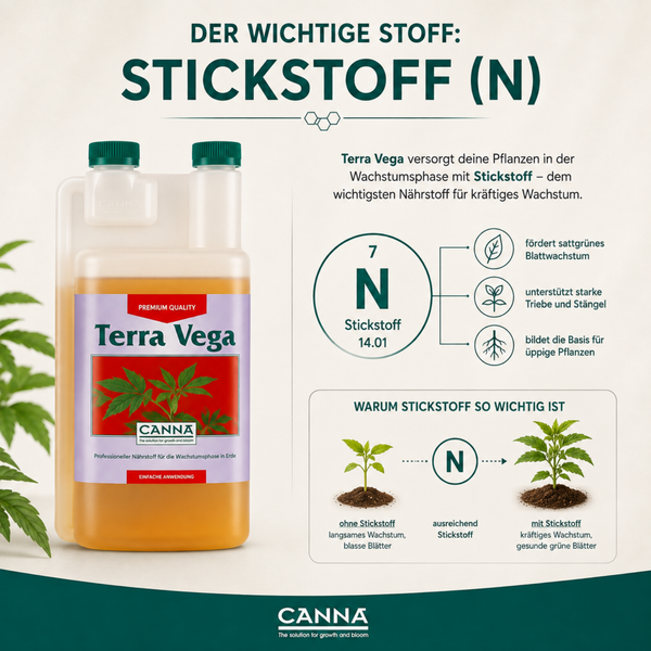 Infografik zum Canna Terra Vega Wachstumsdünger mit Stickstoff Informationen und Anwendungshinweisen für Pflanzen in der Wachstumsphase.