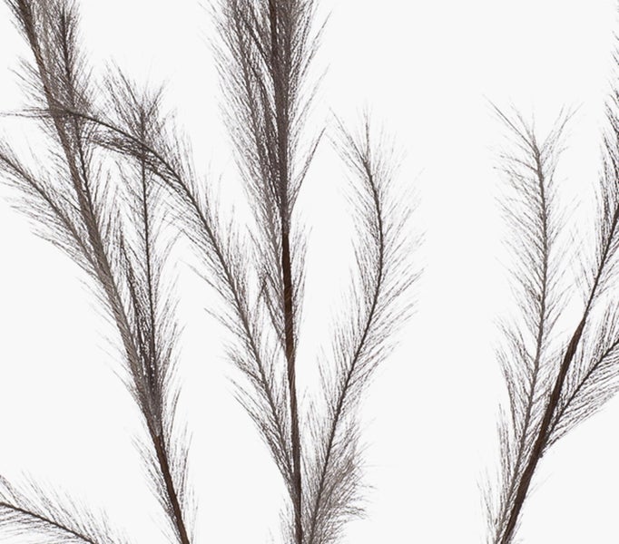 Künstlicher brauner Dekozweig mit feinen federartigen Verästelungen.