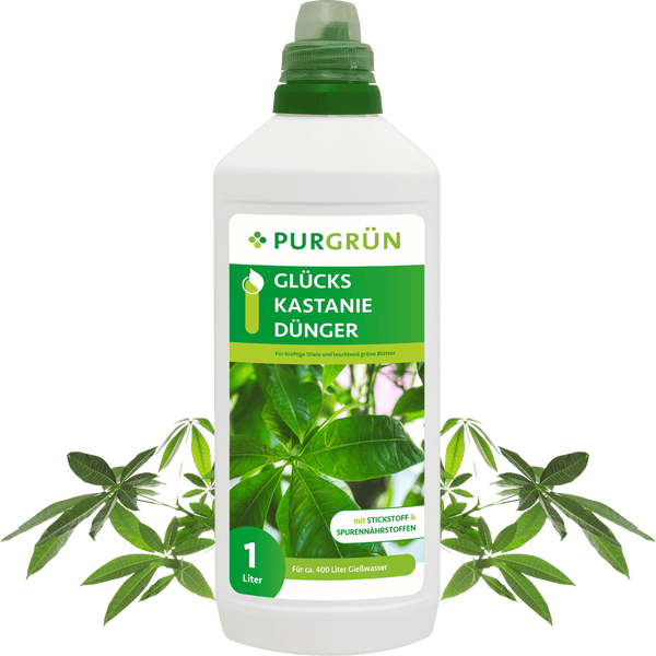 Purgrün Glückskastanie-Dünger 1 Liter