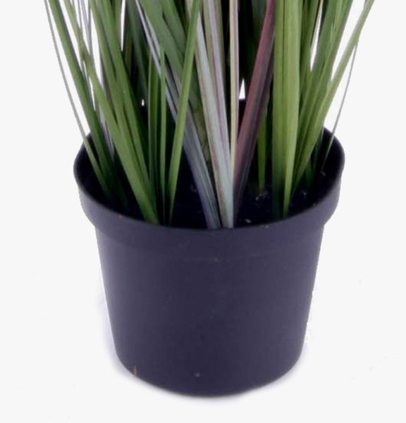 Künstliche Graspflanze im schwarzen Kunststofftopf für die Dekoration