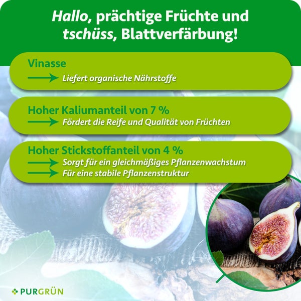 Infografik zum Purgrün Pflanzendünger mit Vorteilen wie Vinasse für organische Nährstoffe, Kalium für Fruchtreife und Stickstoff für Wachstum.