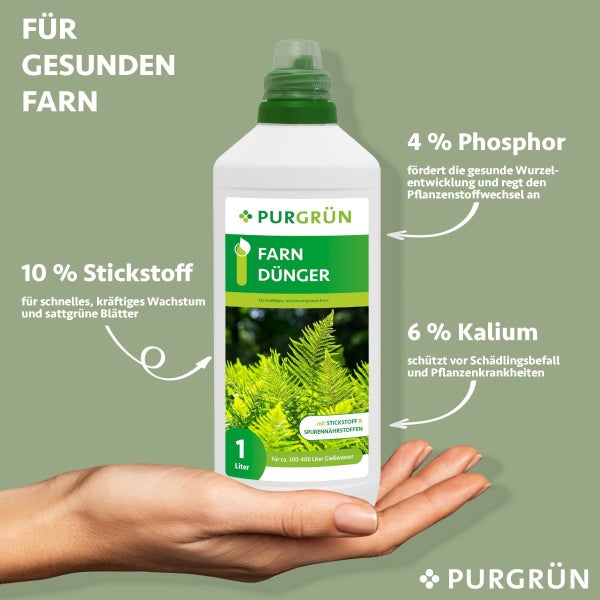 Purgrün Farn-Dünger 1 Liter