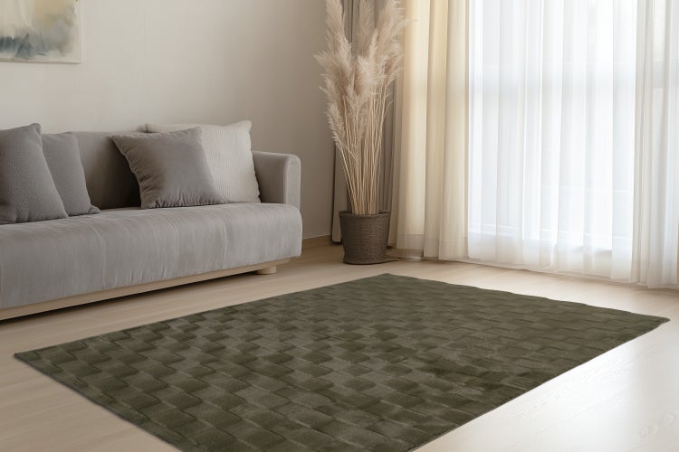 Wohnzimmer mit einem dunklen, quadratisch gemusterten Teppich auf einem hellen Holzboden, einem Sofa mit Kissen und einer hohen Pflanze im Topf.