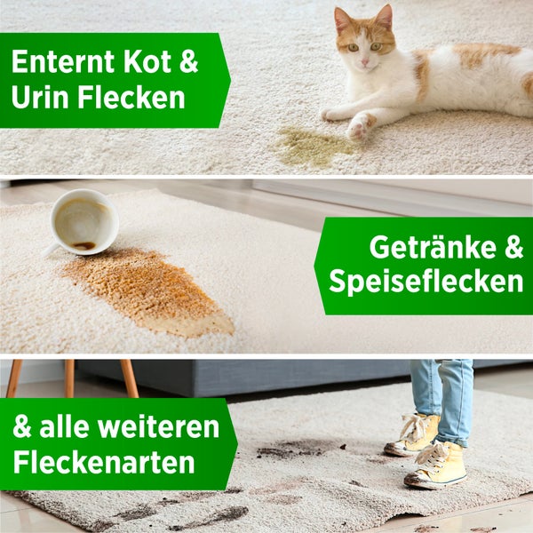 PRINOX® Profi Teppichreiniger 500ml - Teppichboden Reiniger inkl. Teppich Bürste, schäumend für alle Teppiche - Teppich Reinigungsmittel & Fleckenentferner aus Deutschland