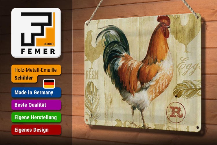 Blechschild Spruch 30x20cm Huhn Hühner Eggs frische Eier