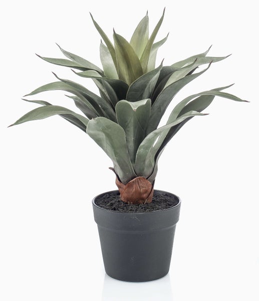 Schwarzer Blumentopf aus Kunststoff mit dunkler Erde und einem braunen Pflanzenstamm.