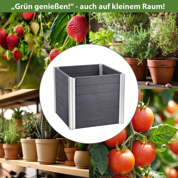 Quadratisches Hochbeet aus Holzverbundmaterial umgeben von Erdbeeren, Kräutern, Zimmerpflanzen und Tomaten