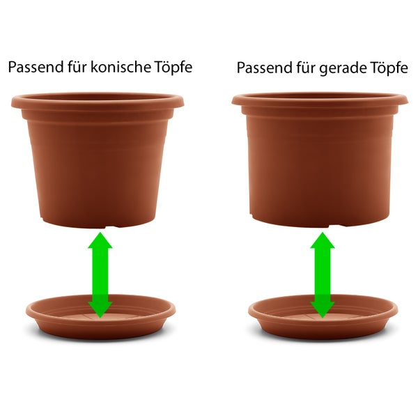 U BigDean 20 Stück Blumentopf Untersetzer Ø 16,5 cm in Terracotta – Topfuntersetzer aus robustem Kunststoff & Made in Europe