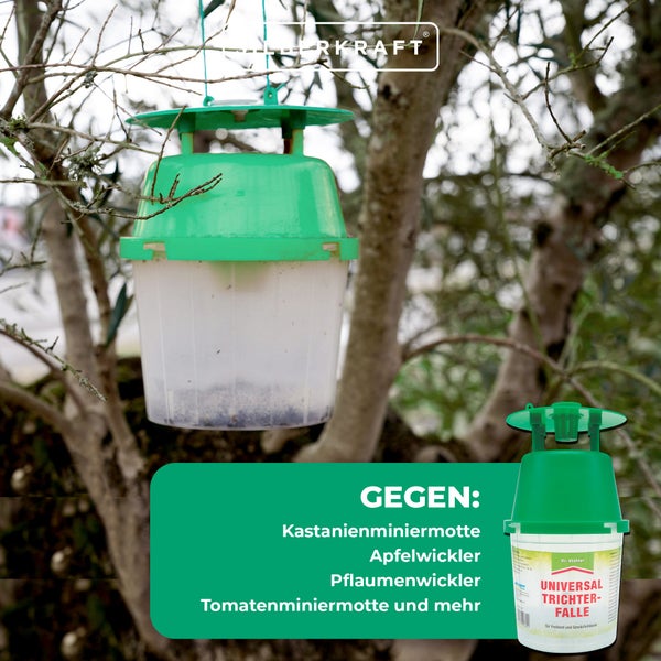 Universal Trichterfalle – Wiederverwendbare Falle zur Anwendung mit Lockstoffen – Für Kastanienminiermotte, Apfelwickler, Pflaumenwickler & mehr – Einsetzbar im Garten, Obstbau & Gewächshaus