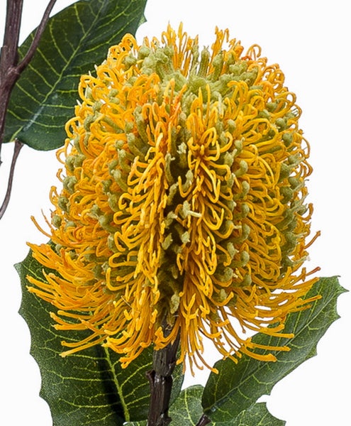 Künstliche Banksia Blume mit gelben Blütenblättern, grünen Blättern und braunem Stiel.