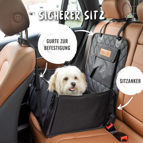 Hund sitzt in einer Hundetransportbox auf dem Rücksitz eines Autos