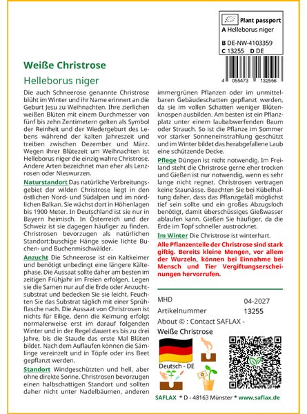 SAFLAX Geschenk Set - Weiße Christrose - Helleborus niger - 6 Samen - Mit Geschenkbox, Versandaufkleber, Geschenkkarte und Anzuchtsubstrat