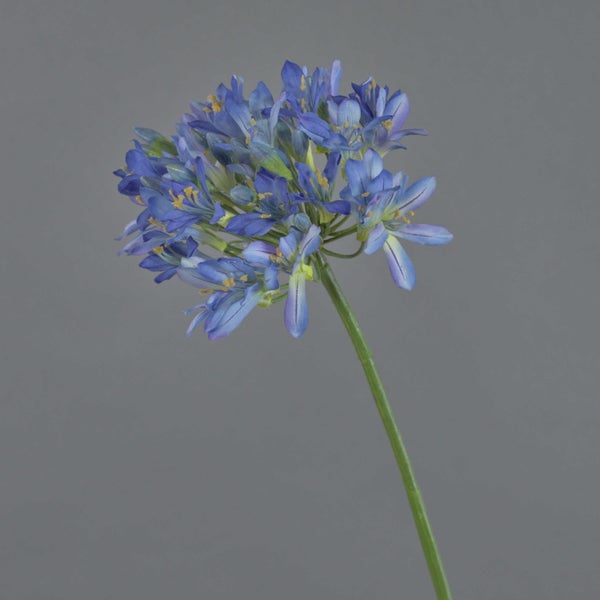 Künstliche Schmucklilie Agapanthus in Blau mit grünem Stiel.