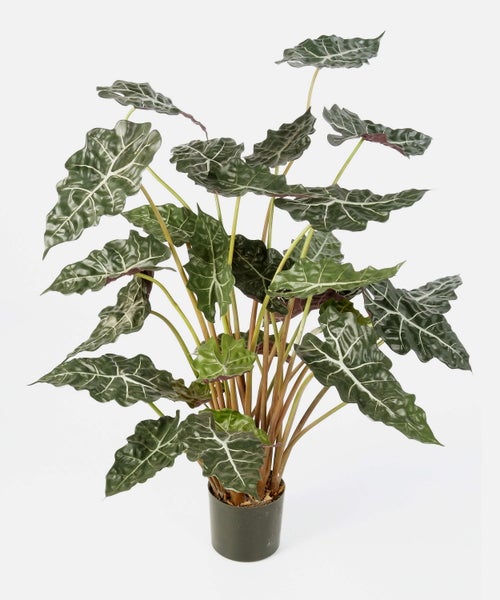 Künstliche Alocasia im schwarzen Kunststofftopf mit dunkelgrünen Blättern und weißen Blattadern.