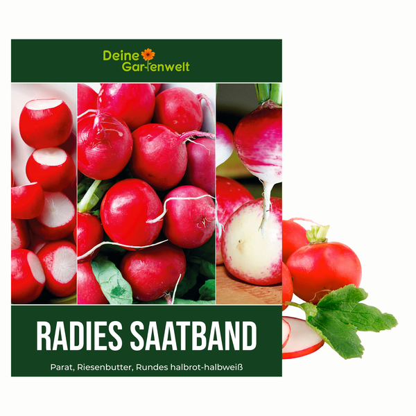 Deine Gartenwelt Logo. Radies Saatband mit verschiedenen Sorten: Parat, Riesenbutter und Rundes halbrot-halbweiß.
