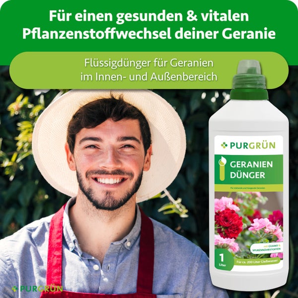 Purgrün Geraniendünger als Flüssigdünger für alle Geranienarten, mit Guano und Spurennährstoffen, ausreichend für circa 200 Liter Gießwasser.
