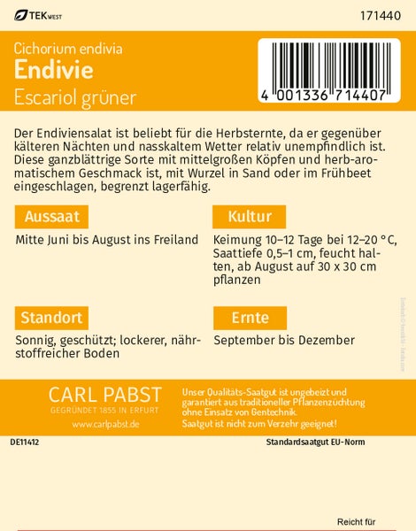 Rückseite der Saatgutpackung für Endivie Escariol grüner von Carl Pabst mit Anweisungen zu Aussaat, Kultur, Standort und Ernte. Carl Pabst Logo.