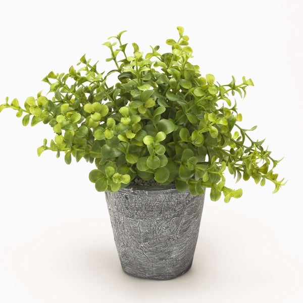 Künstliche Pflanze im grauen Topf mit kleinen runden Blättern.