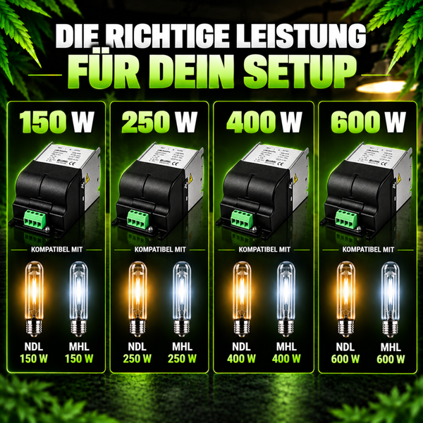 Gabionenkorb aus Draht