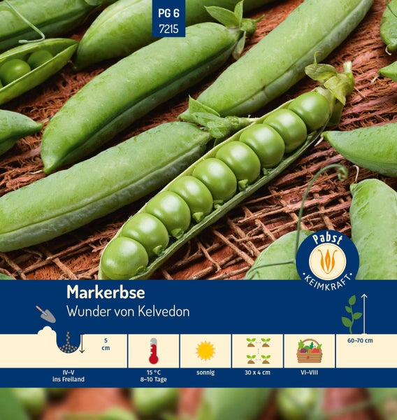Samentüte Markerbsen Wunder von Kelvedon. Aussaat April bis Mai, Ernte Juni bis August, Höhe 60 bis 70 Zentimeter. Pabst Keimkraft Logo.