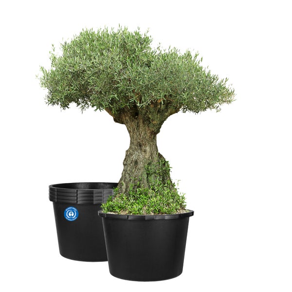 BigDean 5x Mörtelkübel 45 Liter Rund Miniteich Baueimer Mörtelkasten - Ø 50 cm x 33 cm - Speiswanne Zementwanne Mörtelwanne - Made in Germany - Blauer Engel