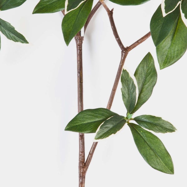 Künstlicher Zweig mit grünen Blättern mit weißem Rand und braunem Stiel.