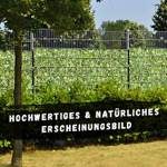 Doppelstabmattenzaun in grüner Landschaft