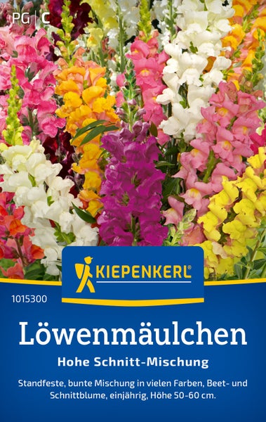 Kiepenkerl Löwenmäulchen hohe Schnitt Mischung Saatgut mit vielen bunten Blüten für Beet und Schnittblumen Verwendung.