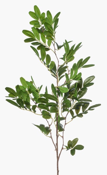 Künstlicher Olivenzweig mit grünen Blättern und einem braunen Stiel.