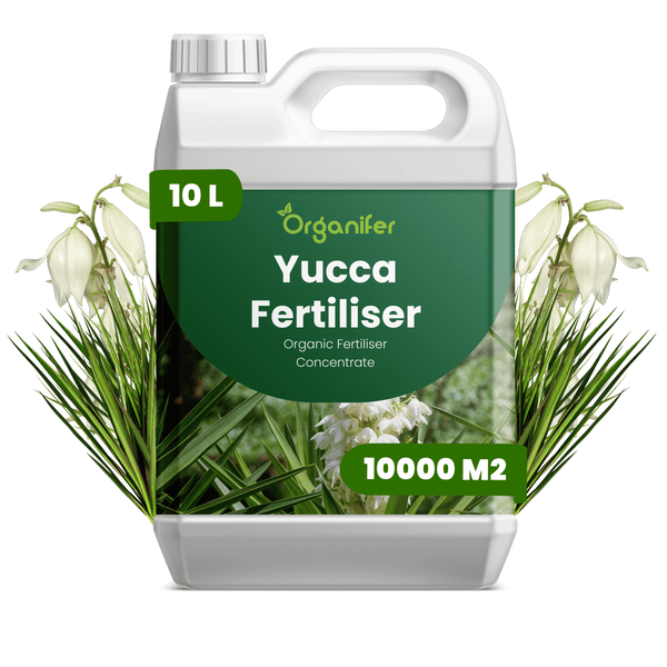 Organifer Yucca-Dünger, organisches Düngerkonzentrat, 10 Liter Kanister für 10000 Quadratmeter.