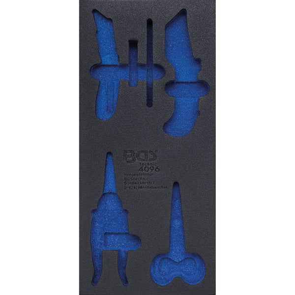 Flammenbaum Samen von Saflax