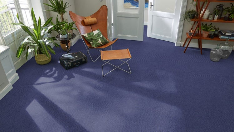 Modernes, helles Zimmer mit dunkelblauen Teppichfliesen, einem Schmetterlingssessel aus Leder, grünen Zimmerpflanzen und einem Holzregal.