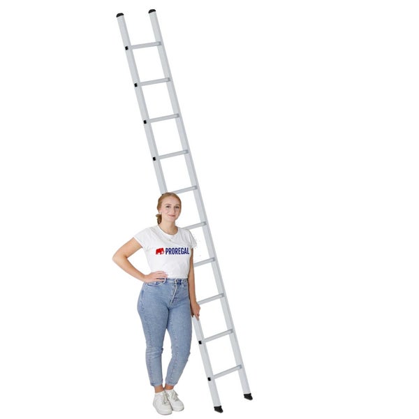 PROREGAL Sprossen-Anlegeleiter 350 mm Breit Ohne Traverse 10 Sprossen