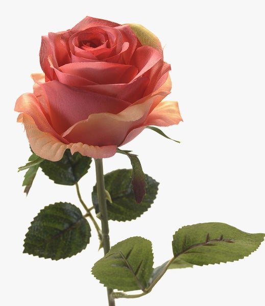 Künstliche Rose in Apricot mit grünem Stiel und Blättern