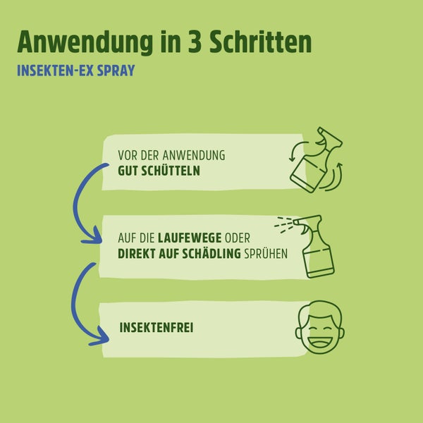 Insektenspray | Stoppt den Befall