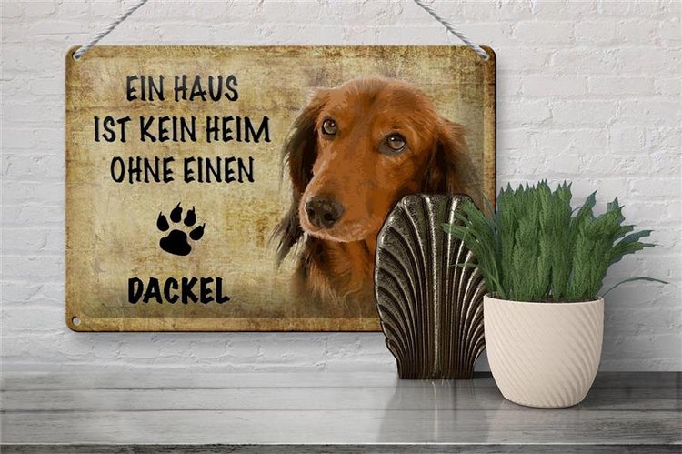 Blechschild Spruch 30x20cm Dackel Hund ohne kein Heim