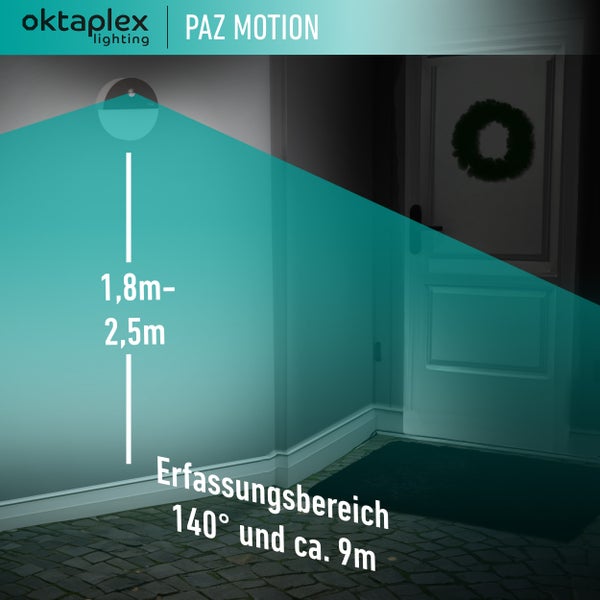 Wandlampe mit Bewegungsmelder warmweiß 3000K 1000 Lumen IP54 10W  anthrazit Außenleuchte 230V