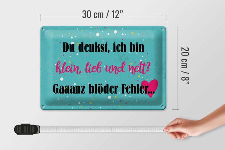 Blechschild Spruch 30x20cm du denkst ich bin klein lieb
