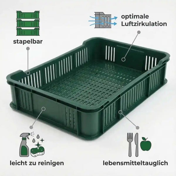 Querschnitt eines Dichtungsprofils für Fenster oder Türen.