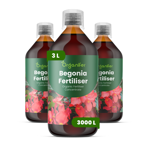 Organifer Begoniendünger 3 Liter, organisches Flüssigdünger-Konzentrat, ergibt 3000 Liter Düngerlösung.