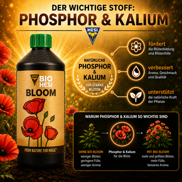 Hesi Bio Bloom Pflanzenduenger Flasche mit Informationen zu Phosphor und Kalium sowie deren Wirkung auf die Bluetenbildung von Pflanzen