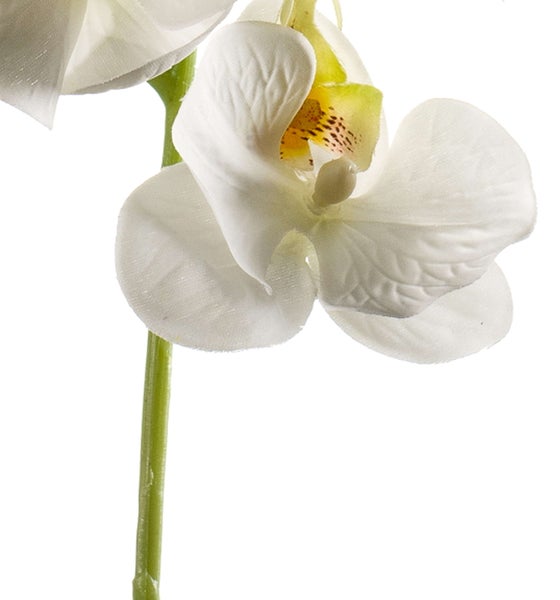 Künstliche Orchidee Phalaenopsis mit weißen Blüten und grünen Knospen an einem langen Stiel.