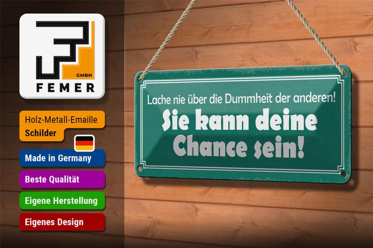 Blechschild Spruch 27x10cm lache nie über die Dummheit der Dekoration