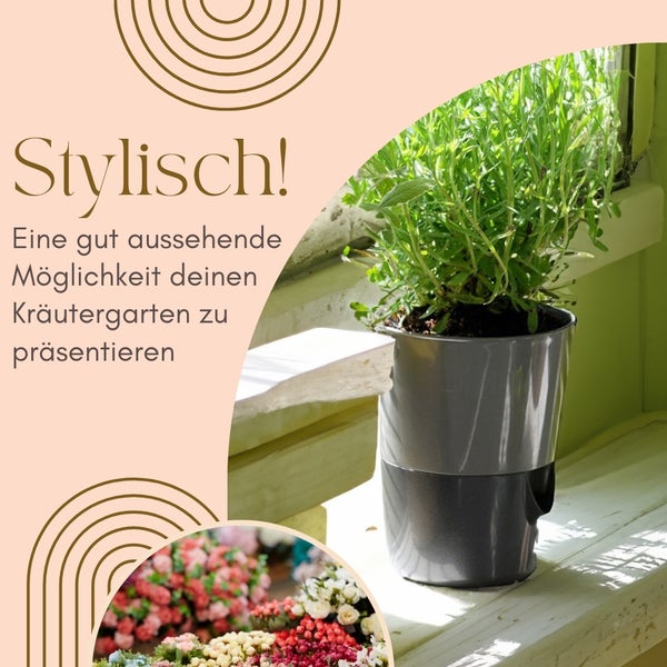 Kräutergarten im grauen Pflanzgefäß auf einer Fensterbank