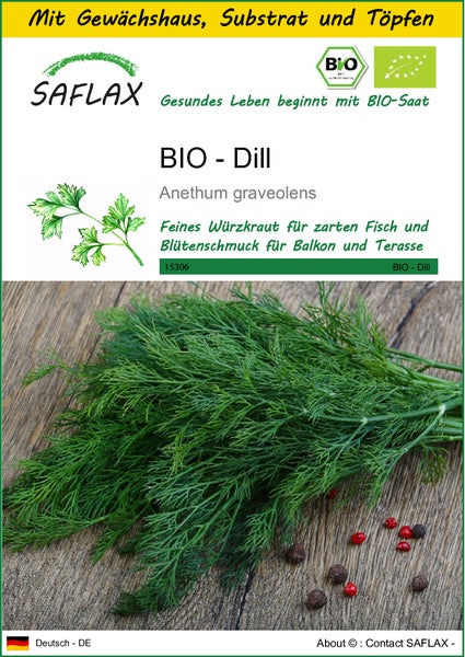 SAFLAX Anzucht Set - BIO - Dill - Anethum graveolens - 700 Samen - Mit Mini-Gewächshaus, Anzuchtsubstrat und 2 Töpfen