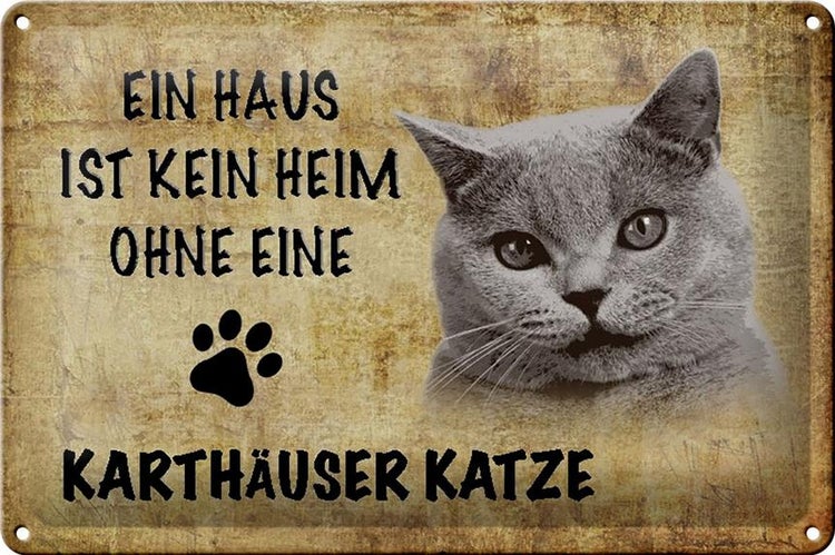 Blechschild Spruch 30x20cm Karthäuser Katze ohne kein Heim