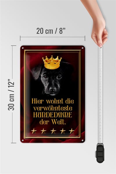 Blechschild Spruch 20x30cm hier wohnt Hundedame der Welt